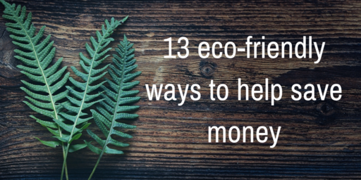 13 eco-friendly ways to save money