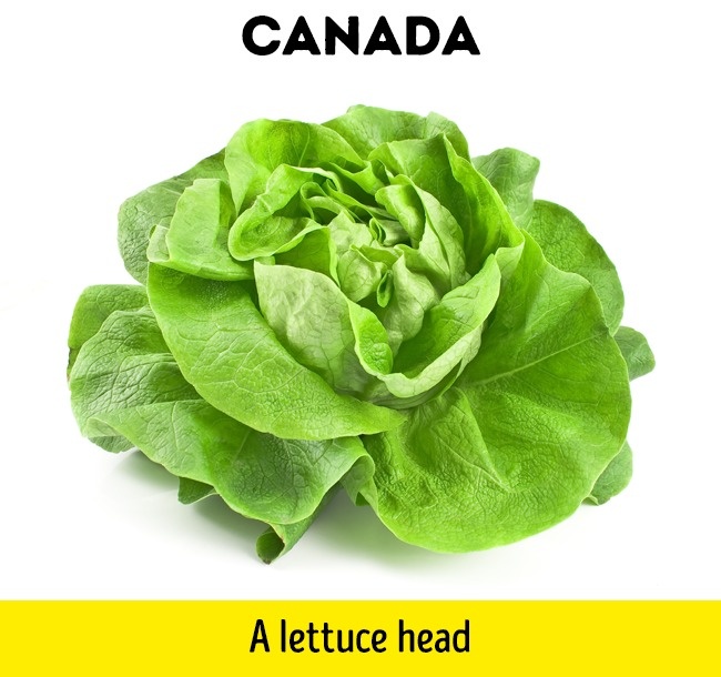 1 dollar = 1 lettuce head in Canada